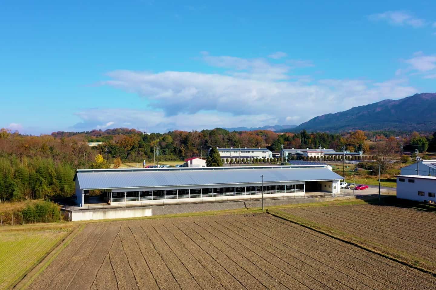 Wagyu Farm Iga Japan